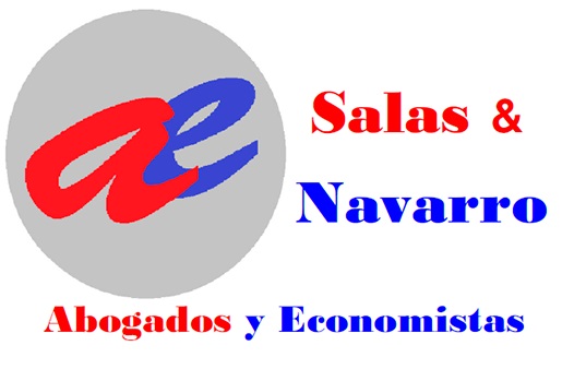 Logo SALAS Y NAVARRO CONSULTORES SL