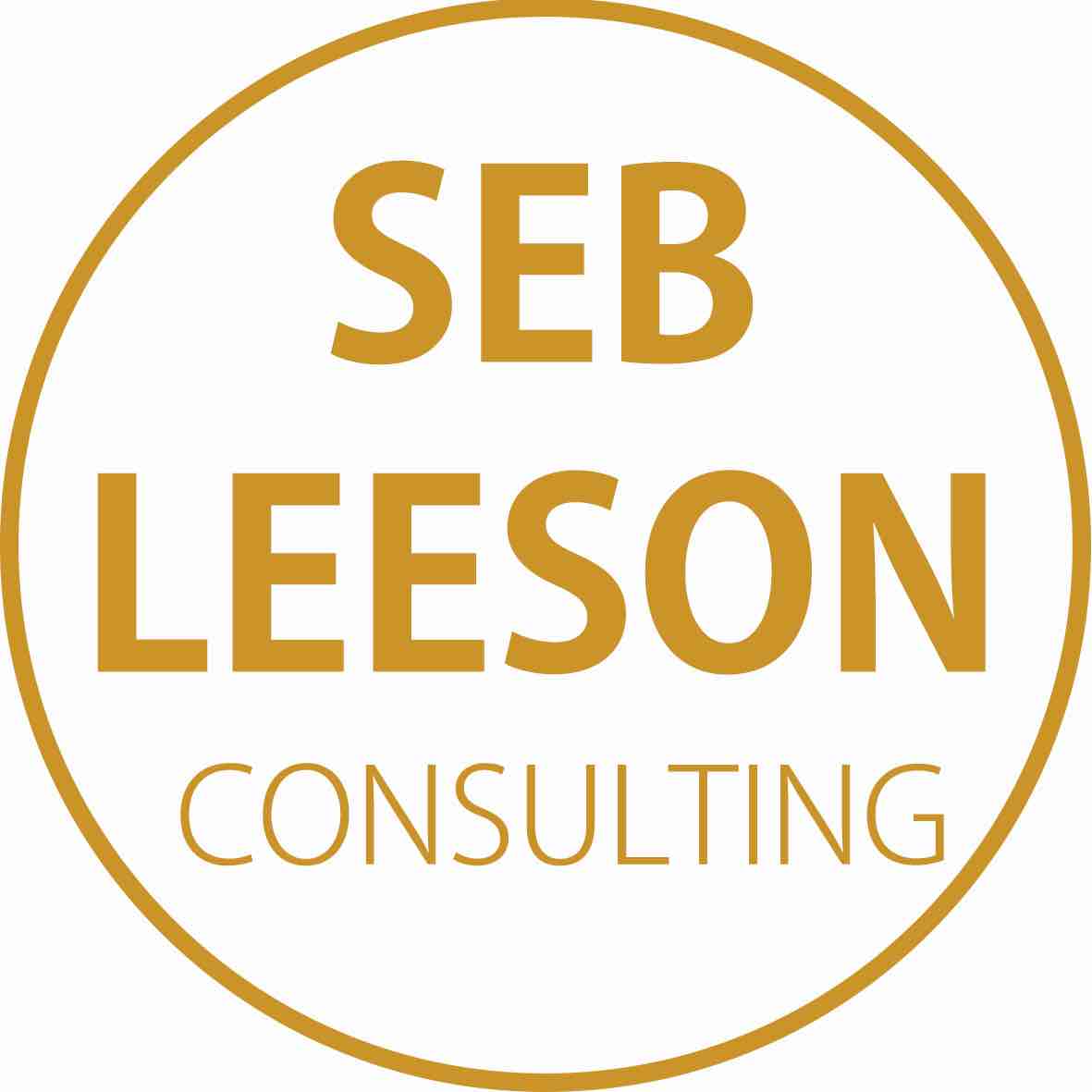 Logo Seb Leeson Consulting